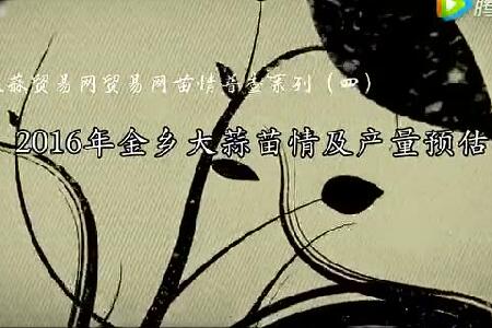 2016年金鄉(xiāng)大蒜苗情及產量預估 ()