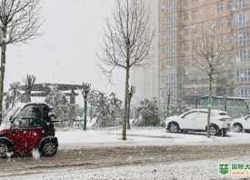 河南3月飄雪 蒜苗還好嗎？ ()