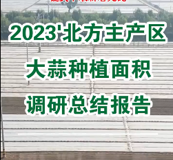 【即將發(fā)布】2023'北方主產(chǎn)區(qū)大蒜種植面積調(diào)研總結(jié)報告 ()