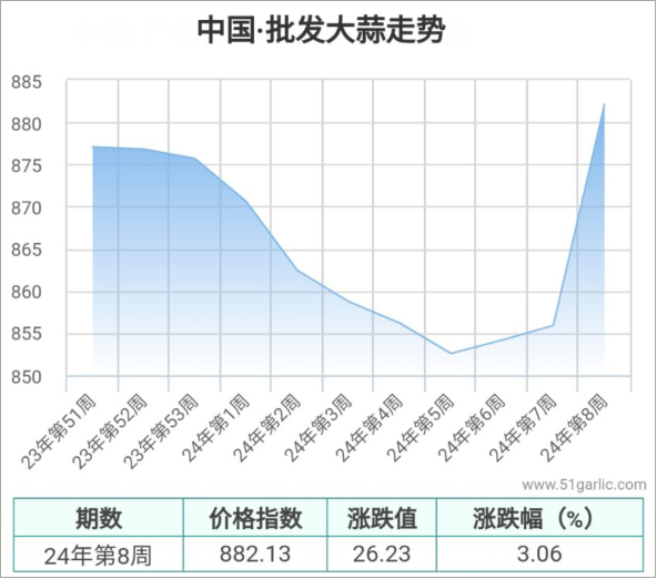 圖片13