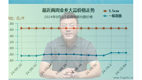 蒜價猛然上漲、能否再接再厲