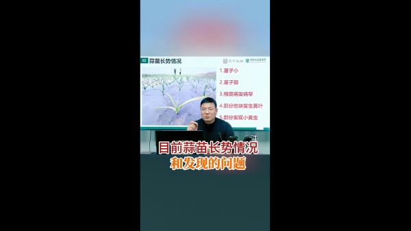 目前蒜苗長勢情況和發(fā)現的問題 ()