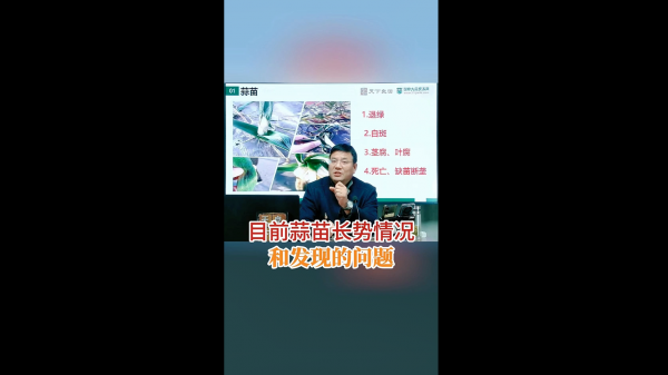 目前蒜苗長勢情況和發(fā)現的問題 ()