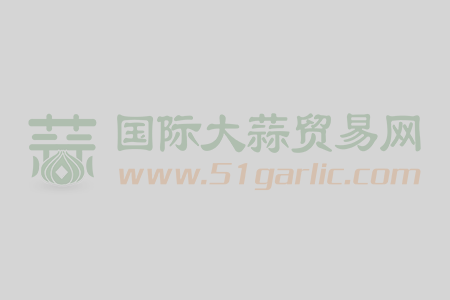 科技賦農，金鄉(xiāng)大蒜數(shù)字發(fā)展 ()