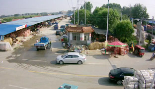 蒼山盧祚大蒜市場南半部大蒜交易實況